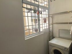 Carissa Park Condominium (D17), Condominium #496105431